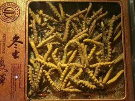 南山一克虫草回收多少钱