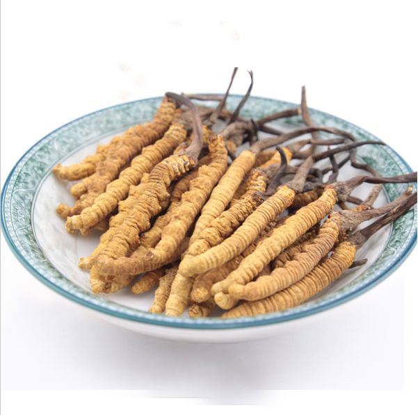大鹏断条冬虫夏草回收什么价