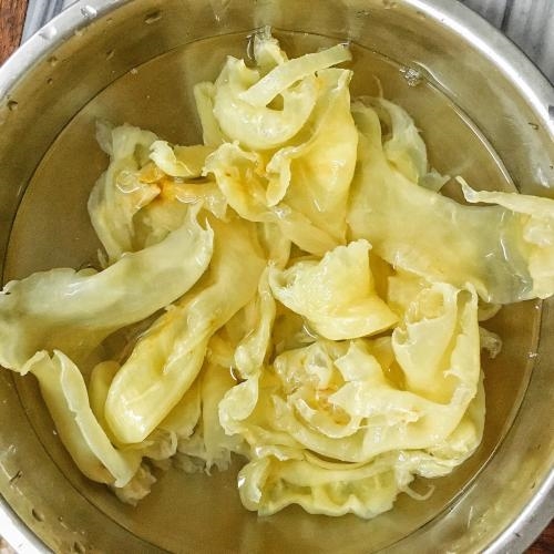 龙华鱼胶回收准确价格